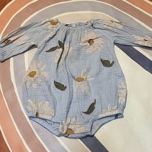 Wild Wawa Autumn Daisy Bubble